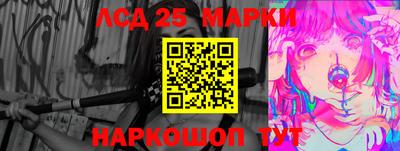 гашик Ярославль