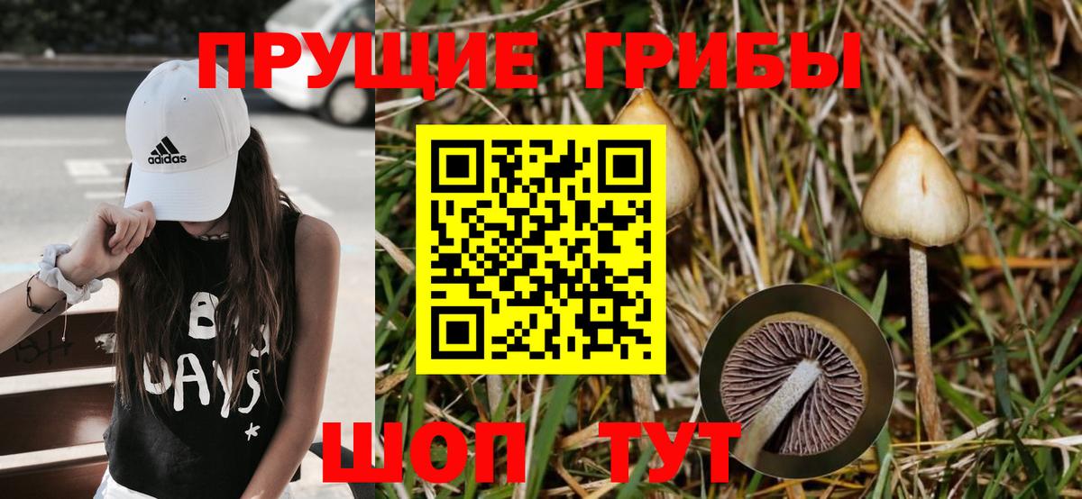 Псилоцибиновые грибы мицелий  Вход с VPN  хочу   Киров 