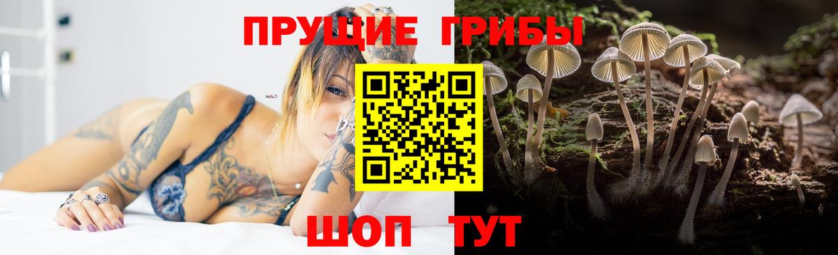 Галлюциногенные грибы Magic Shrooms Киров